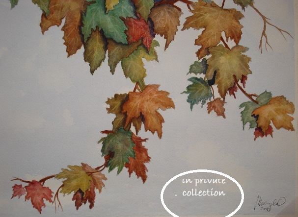 Canadian leaves