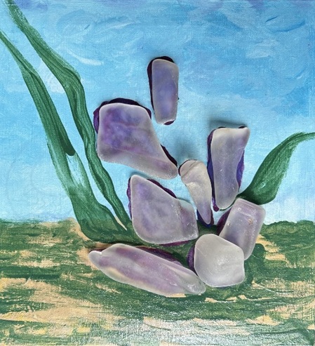 seaglassiryses